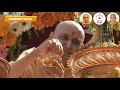 Mava Tari Murti Ma Mohi Mohi Re | Pramukh Swami Maharaj BAPS - Mahant Villa Mp3 Song