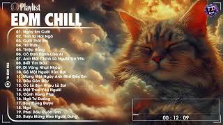 Một Chút EDM Chill Thư Giản Sau Ngày Dài Mệt Mỏi ♫ Top 20 Bản Nhạc EDM Gây Nghiện HOT TikTok 2024