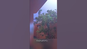 قَالَ رَبِّ اشْرَحْ لِي صَدْرِي القارئ احمد خضر.