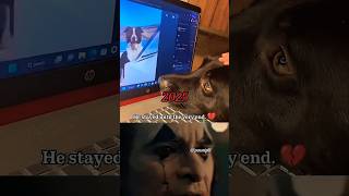 He Stayed Until The End... A Dogs Unbreakable Friendship