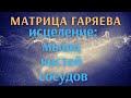 Матрица Гаряева - Исцеление мышц, костей, сосудов (чистая, часть - 1)