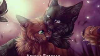 Белка и Ежевика (Squirrelflight & Brambleclaw)-You were meant me | Коты воители Белка и Ежевика (Squirrelflight & Brambleclaw)-You were meant me | Коты воители