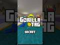 Did you know this gtag gorilla tag secret!