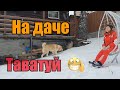 Зимний Таватуй//Семейный отдых//Елка