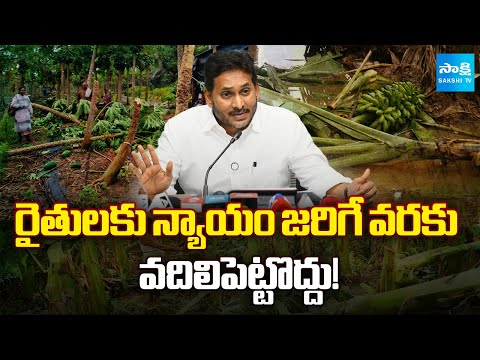 YS Jagan Key Instructions to Party Leaders Over Farmers Crop Insurance, Chandrababu Govt | Sakshi TV - SAKSHITV