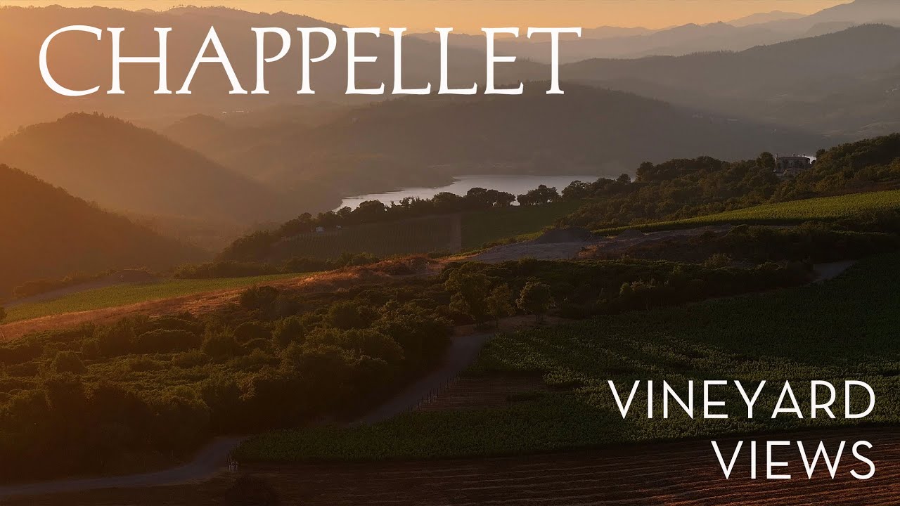 Vineyard Views at Dawn | Napa Valley’s Morning Light at Chappellet Winery