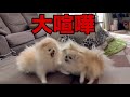 かつてない程の大喧嘩に発展してしまいました