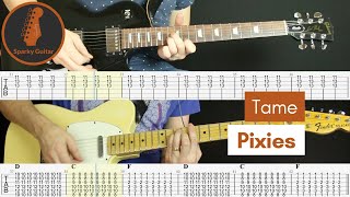 Tame - Pixies (Guitar Cover &amp; Tab)