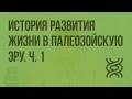 История развития жизни в палеозойскую эру. Ч. 1. Видеоурок по биологии 11 класс