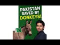 Pakistan why saved donkeys