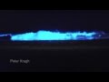 Bioluminescenсe / Биолюминесценция фитопланктона