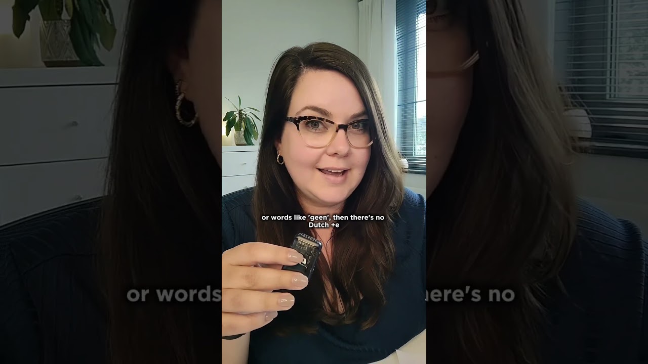 Adjectives - Dutch grammar rules