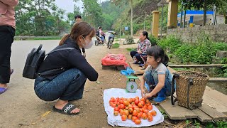 The poor girl went to pick tomato to sell and fend for herself in her new house with her little dog