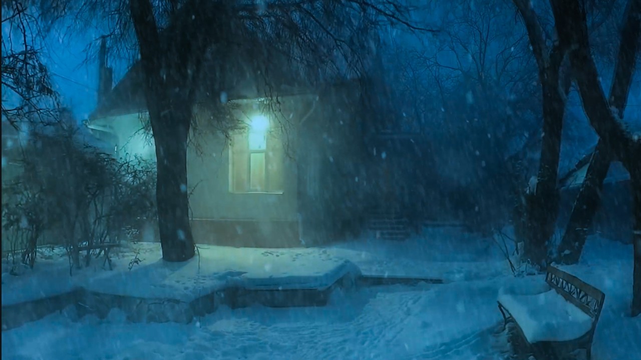 Blizzard Sounds for Sleeping: Howling Wind & Falling Snow| SNOWSTORM SOUNDS | ASMR Sleep