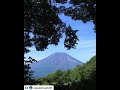 nature and...  浜田省吾 ラスト・ダンス