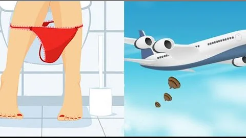 Куда деваются какашки в самолетах?