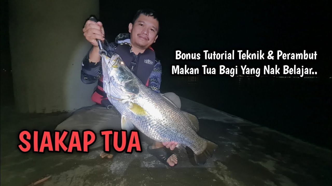GASAK Malam ‼️ Teknik Makan Tua Mengai Jambatan Pulau Pinang