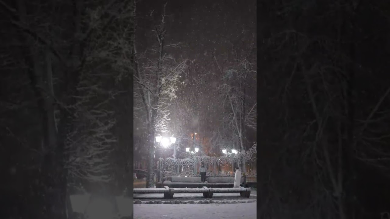 The Magic of Snowfall: A Feeling You Have to Experience! ❄️✨