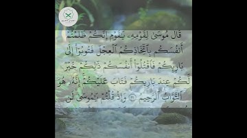 سورة البقرة  الشيخ محمد الفقيه  #forupage #اكسبلور #quotes #duet #تيك_توك #quran #peace #love #dosa