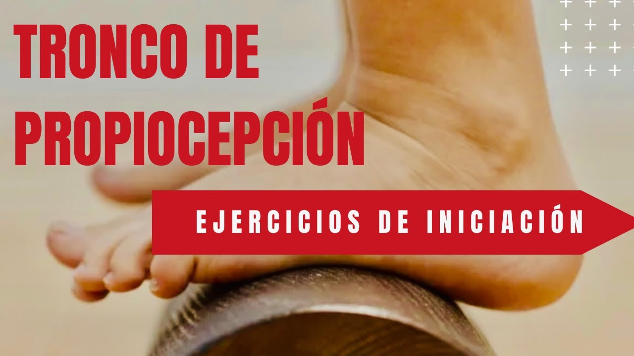 Método 5P: ejercicios de iniciación 