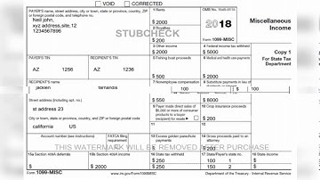 Stubcheck | Online paystub generator.