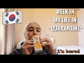 south korea quarantine vlog pt 1 (days 1-5) / room tour, what i eat in a day & bad wifi 🤠