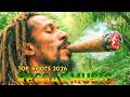 Top 10 Roots Reggae Music 2026 – A Healing Journey Through Riddim, Zion Light &amp; Soulful Fire