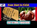 How to grow heirloom tomatoes  harvest the seeds fast tutorial