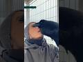 #raven #воронгоша #crow #aboutbirds #animal #birdtraining