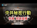 中共秘密行動，惨被“現場直播”；化債成了一場上、下互相欺騙欺的文字遊戲；今天是穩定幣的里程碑。
