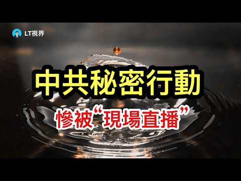 中共秘密行動，惨被“現場直播”；化債成了一場上、下互相欺騙欺的文字遊戲；今天是穩定幣的里程碑。