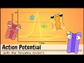 Understanding Action Potentials