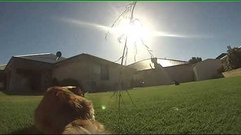 GoPro Studio Editing Slow motion first attempt.