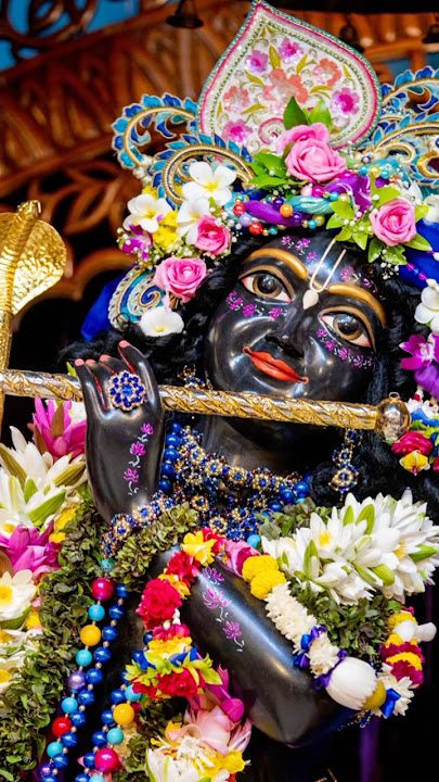 Saturday Bliss-Hare Krishna! Radha Madhav Darshan #shorts  #saturdayvibes #RadhaMadhava #harekrishna