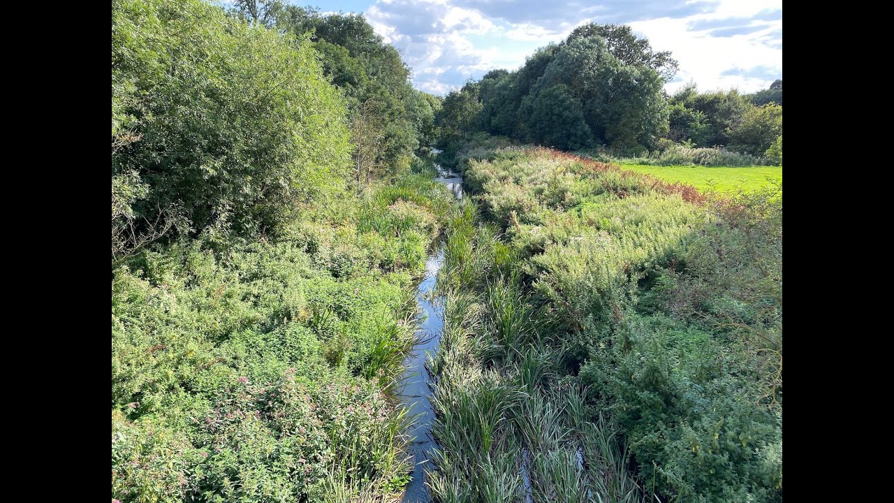 River Crane Seasonal Changes