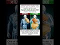 STOP Eating Salted Peanuts! 🚫  Watch the 3D Body Bloating ✨