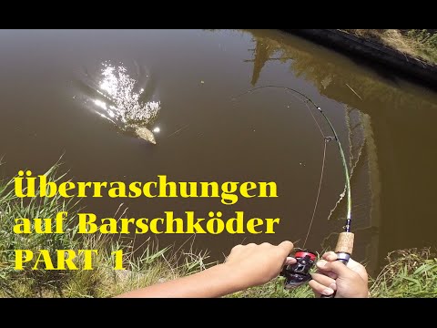 Barsche+Beifänge an Brücken