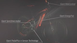 2017 Giant Electric Bike Drive System: Hybrid Cycling Technology | Electric Bike Report