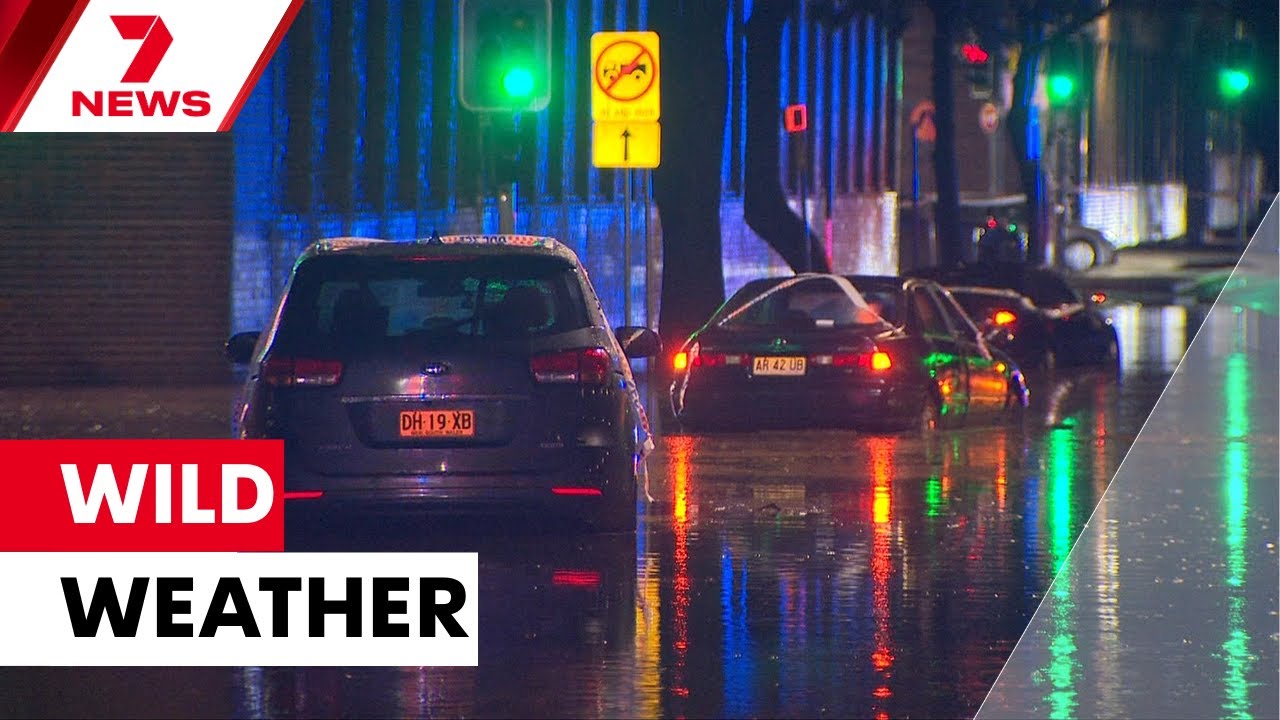 Wild weather in Sydney | 7NEWS