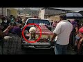 Lo que hizo este perro con el ataúd de su dueña te dejara SIN PALABRAS