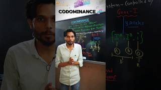Codominance #biology #shorts #codominance #k2institute