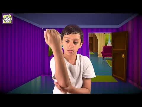 Learn Ablution (Wudu)