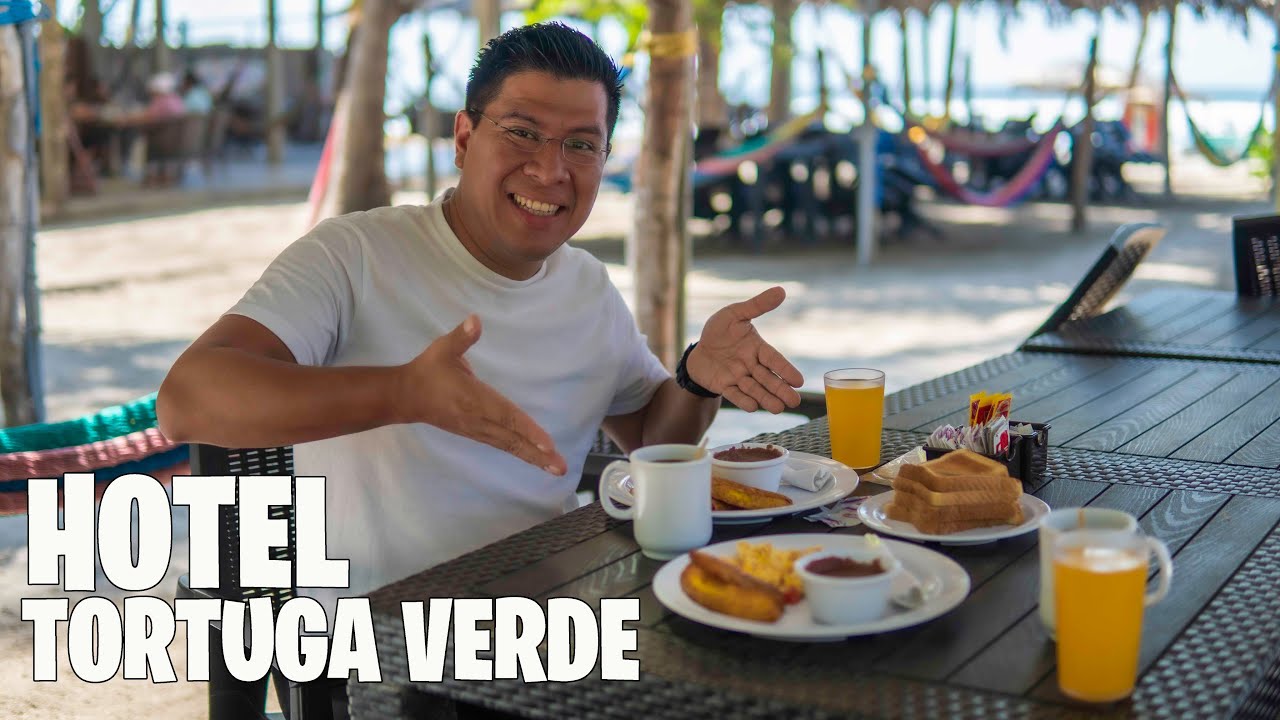 🏨HOTEL TORTUGA VERDE *es buena opción🤨?