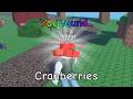 Item Finders - Where to Find the Cranberries (Roblox)