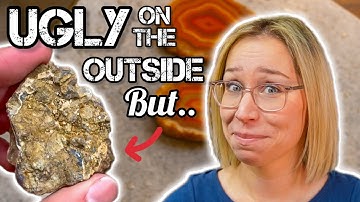 You NEED to See What