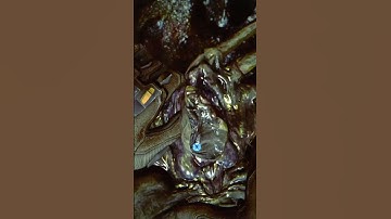 Aliens Colonial Marines vs AVP - Facehugger Comparison #alien