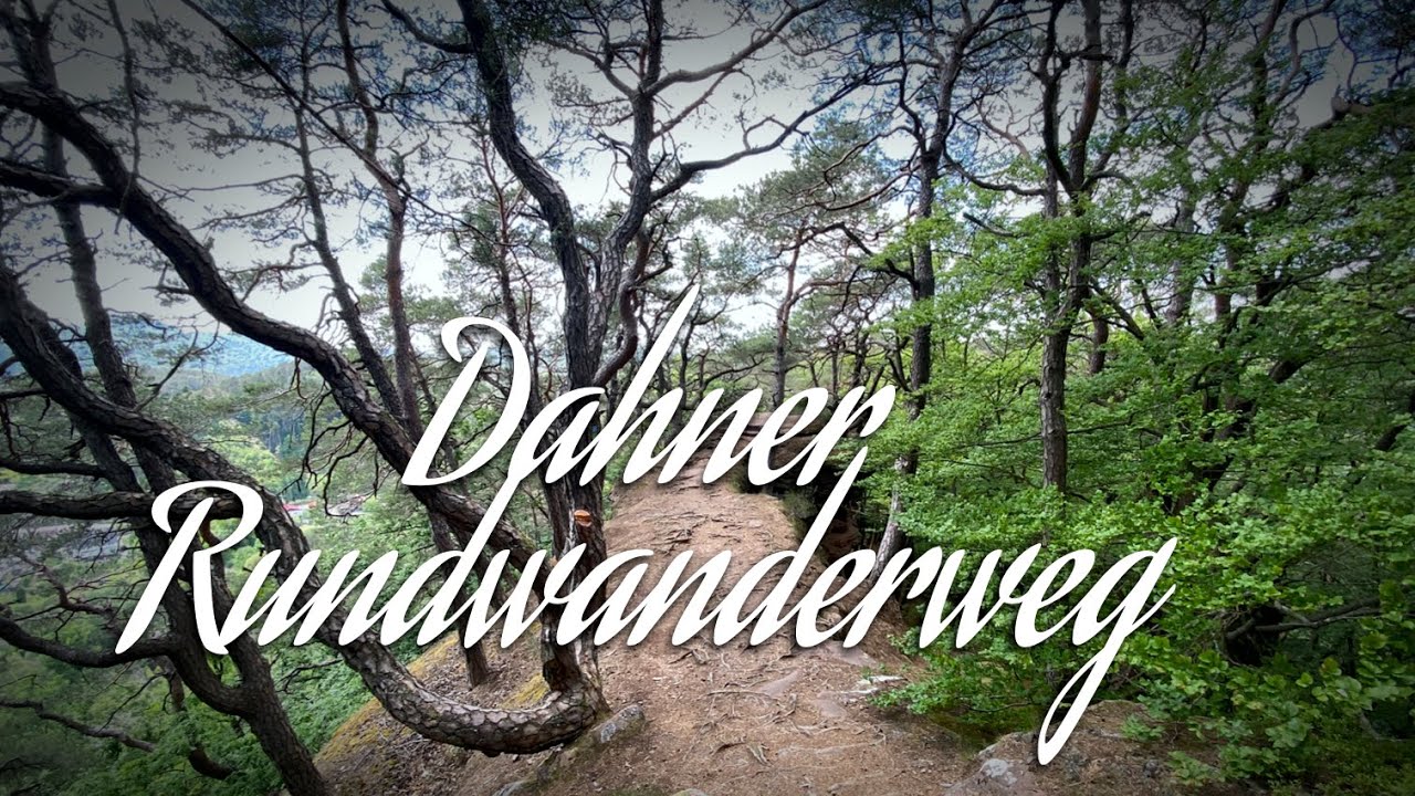 Dahner Rundwanderweg | Wandern in der Pfalz