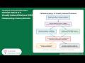 2/6 video- VID - Pathophysiology — Visual-Vestibular Weighting & Sensory Mismatch