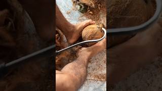 The Amazing Process Of Making Coconut Milk #Shorts