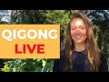 🔴  Daily Qigong Routine LIVE - Lower Back Love